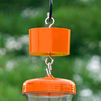 Wildlife Accessories Trap-It Ant Trap, Orange